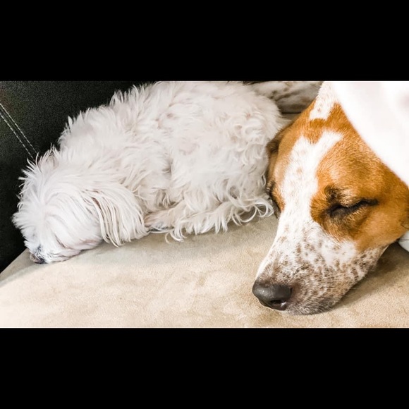 Meet your Posher, Erica - Picture 9 of 11